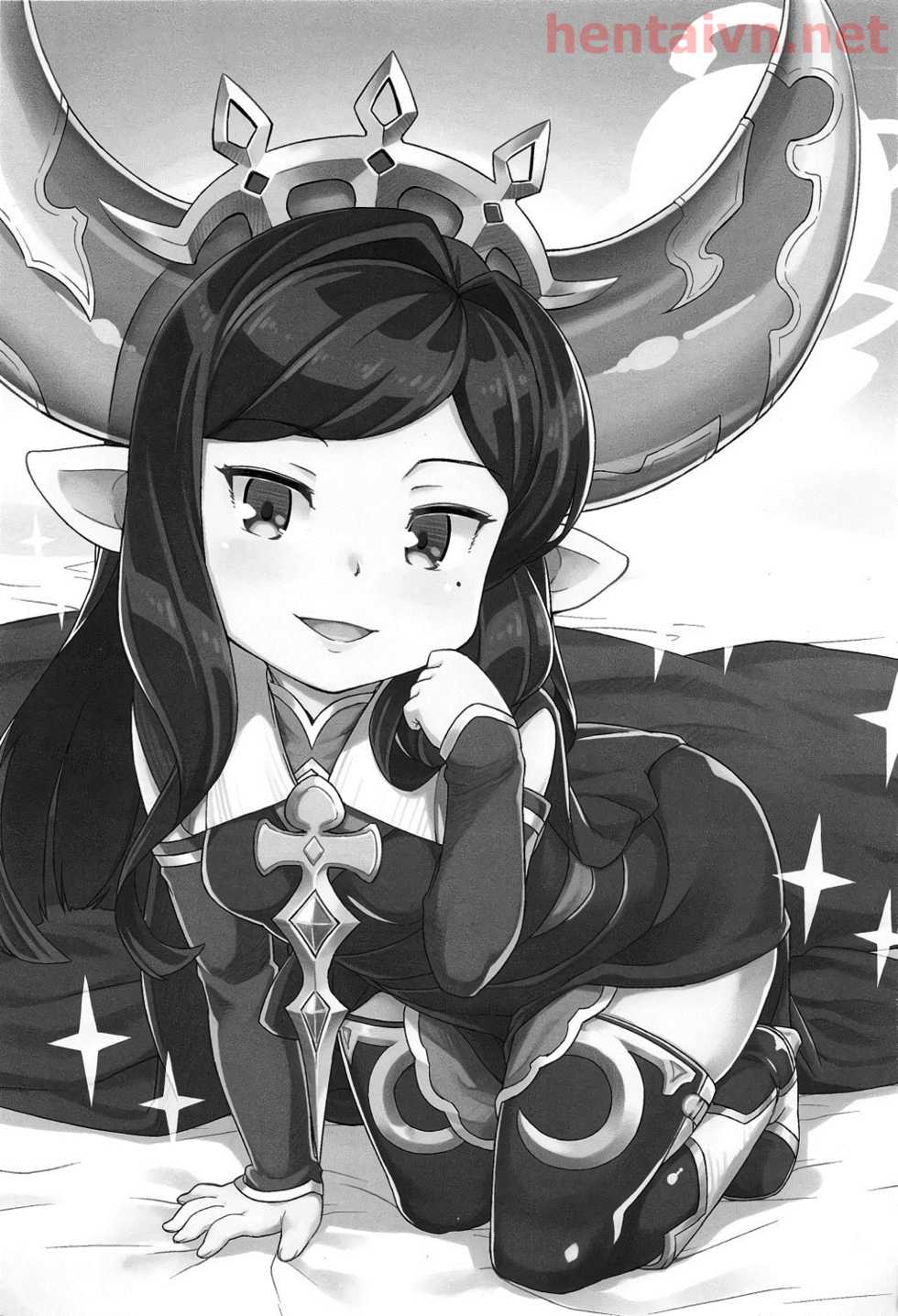 (C91) [SECREDER (Jingai Modoki)] Atarashii Fate Episode ga Arimasu! 2 (Granblue Fantasy) [Vietnamese Tiếng Việt] [Not alive] - Page 3