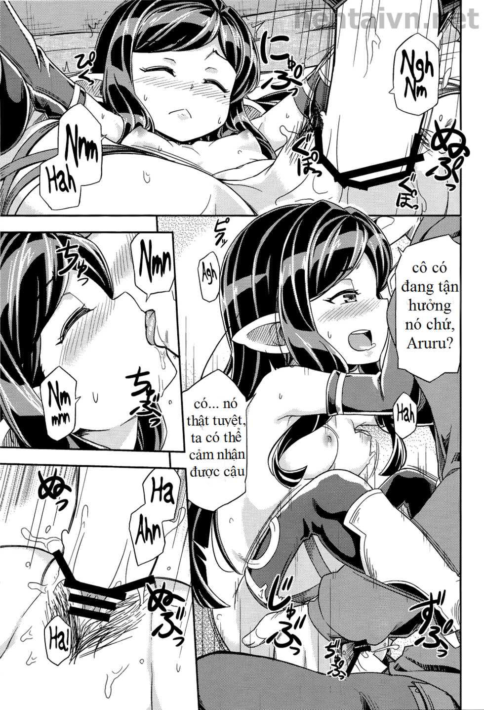 (C91) [SECREDER (Jingai Modoki)] Atarashii Fate Episode ga Arimasu! 2 (Granblue Fantasy) [Vietnamese Tiếng Việt] [Not alive] - Page 17
