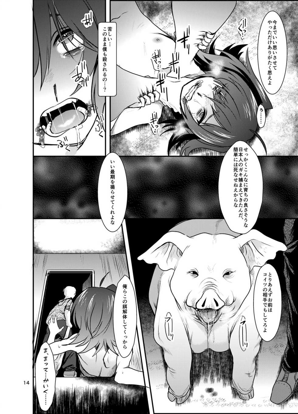 (SC2016 Winter) [Celsius (Torikawa)] Tonketsu (Cardfight!! Vanguard) - Page 15