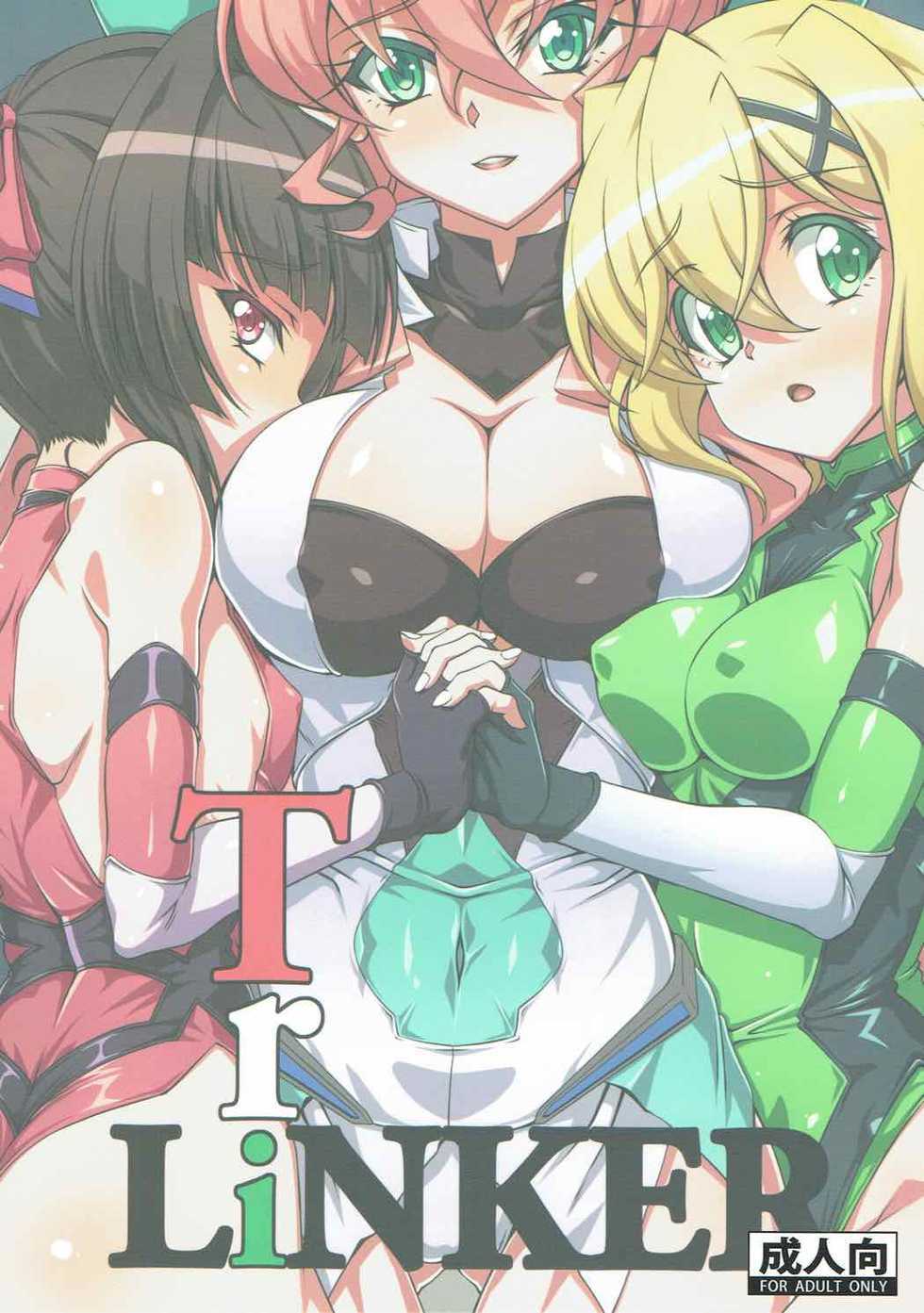 (C92) [CLOCK (Syunzo)] TriLiNKER (Senki Zesshou Symphogear) - Page 21