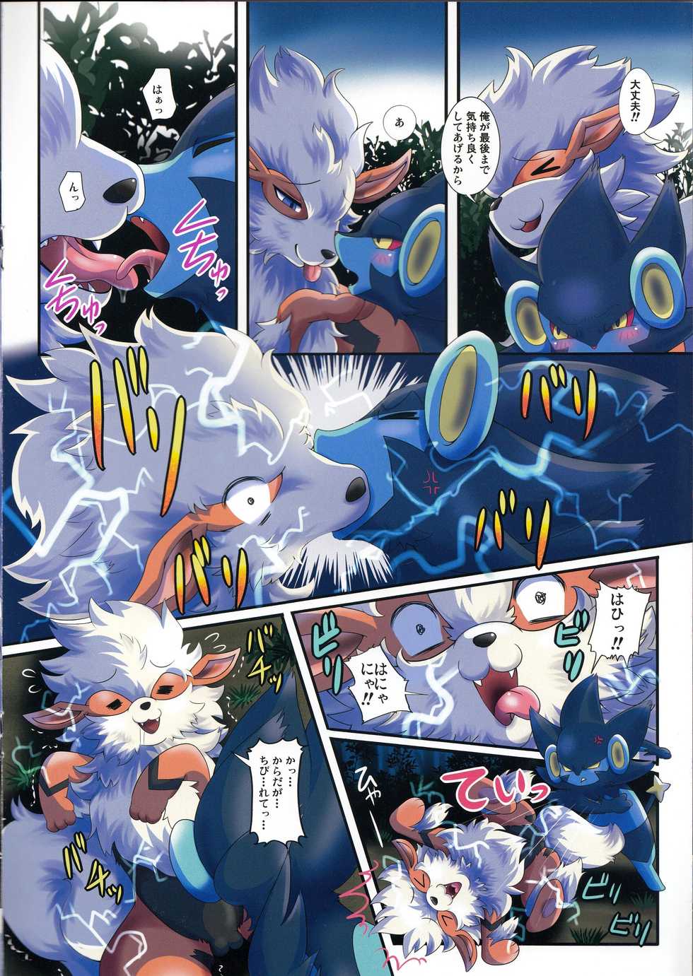 (C87) [Kousyoudou (Bakugatou)] Shishigarami Furukaraa (Pokémon) - Page 9