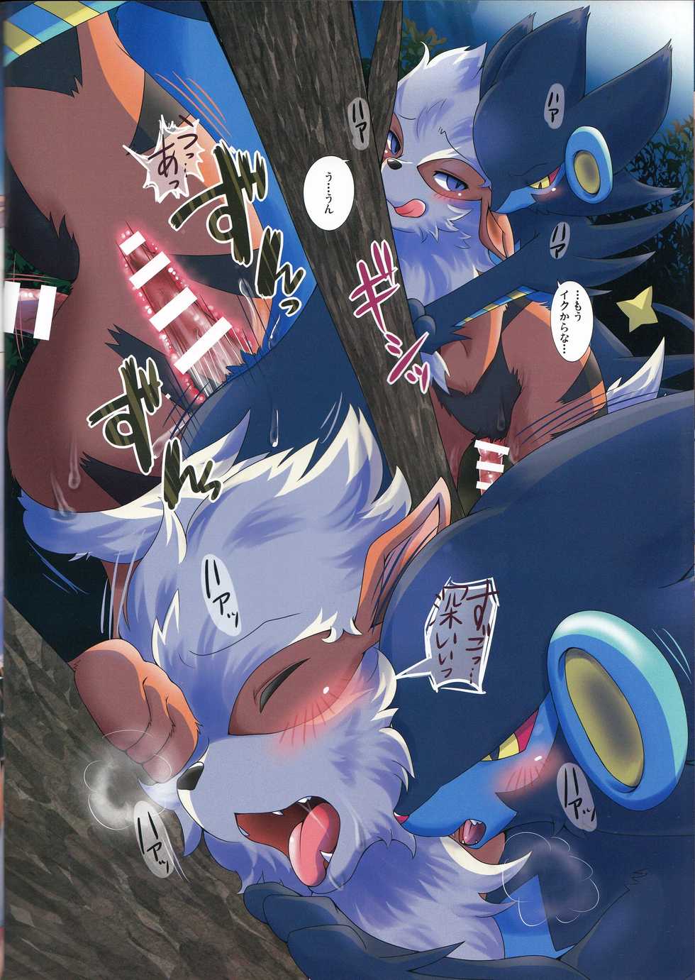 (C87) [Kousyoudou (Bakugatou)] Shishigarami Furukaraa (Pokémon) - Page 13