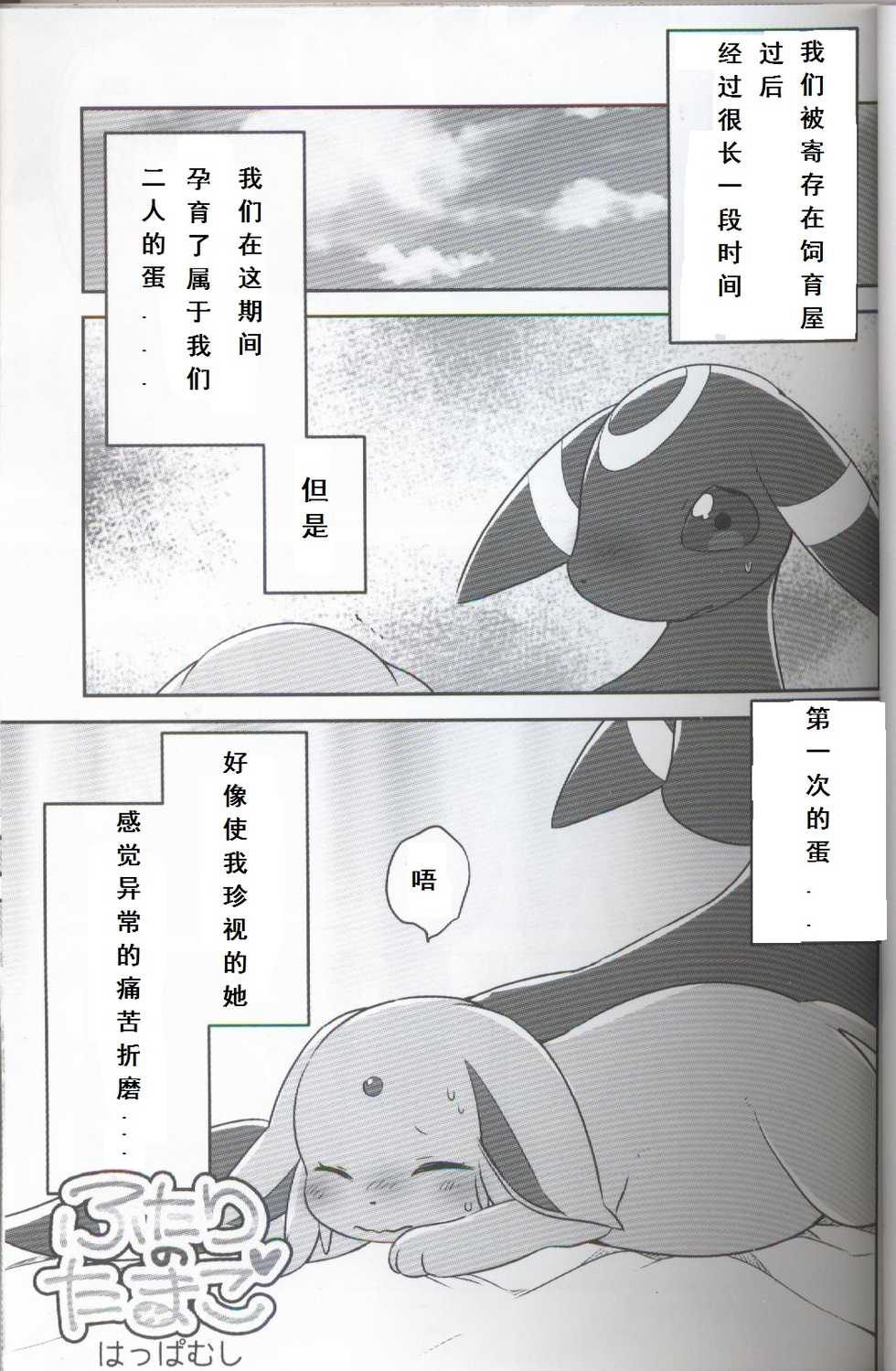(Shinshun Kemoket 3) [Chabane Ninja (Happamushi)] Futari no Tamago | 咱俩的蛋 (Pokémon) [Chinese] [虾皮汉化组] - Page 3