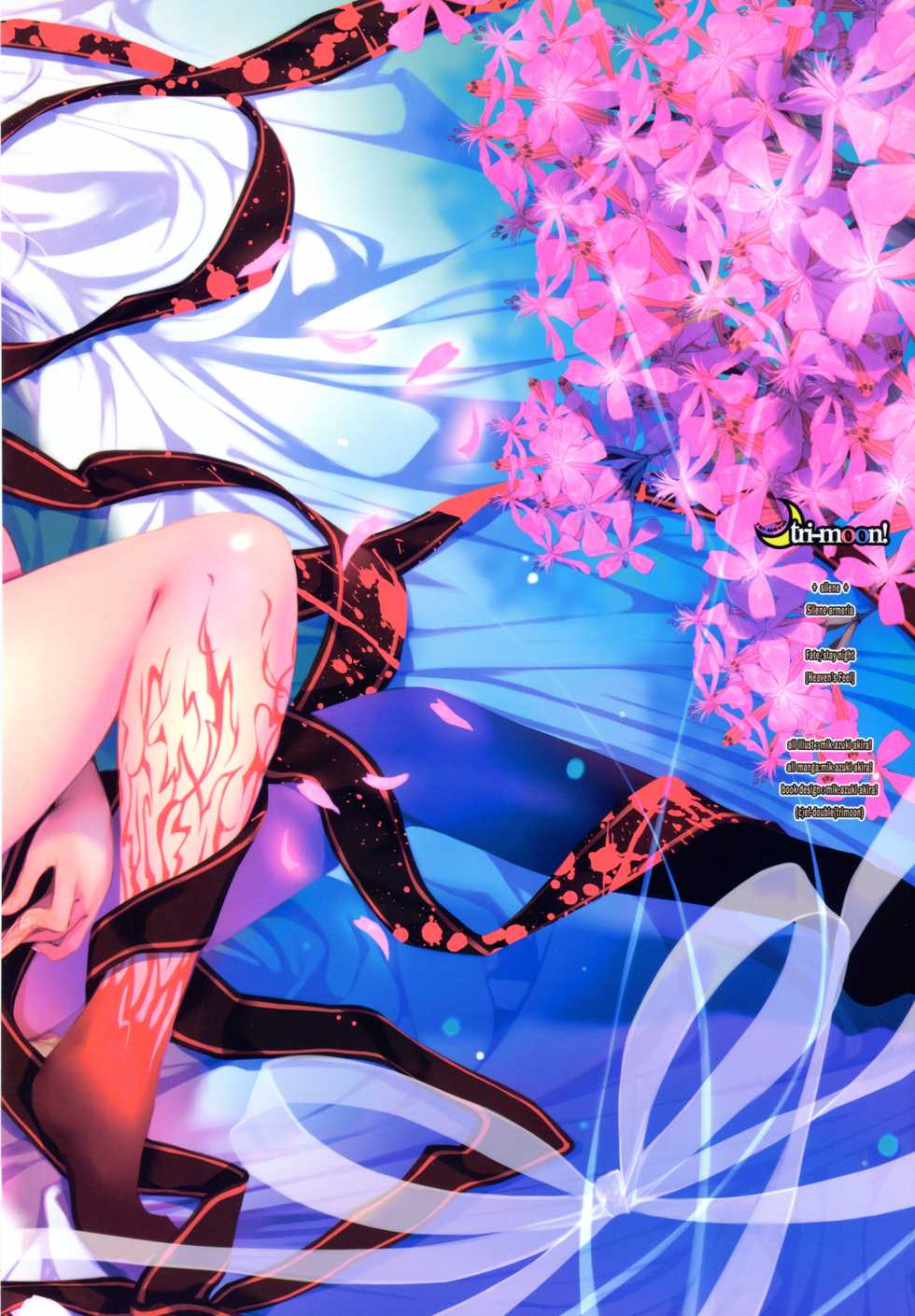 (C92) [TRI-MOON! (Mikazuki Akira!)] silene (Fate/stay night) - Page 30