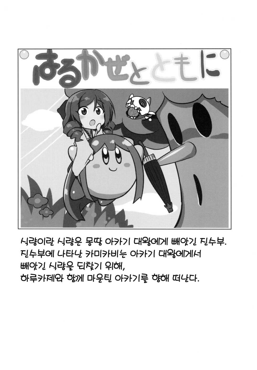 (C92) [L5EX (Kamelie)] Harukaze to Tomo ni (Kantai Collection -KanColle-) [Korean] - Page 23