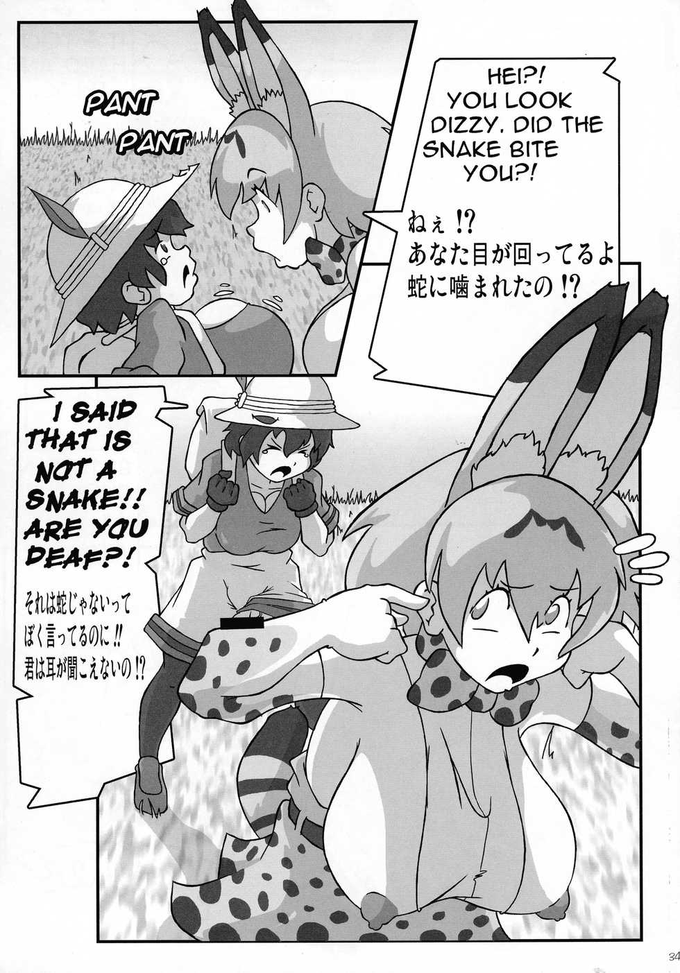 (C92) [KEBERO Corporation (Shimokata Kouzou, Evhor)] Shin Hanjuuryoku XXXV (Girls und Panzer, Kemono Friends) - Page 34
