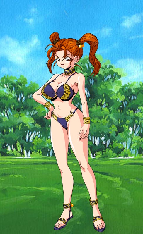 [Ouki Rou] Ojou-sama no Himitsu ~Onna Madoushi Shichihenge~ (Dragon Quest VIII) - Page 18