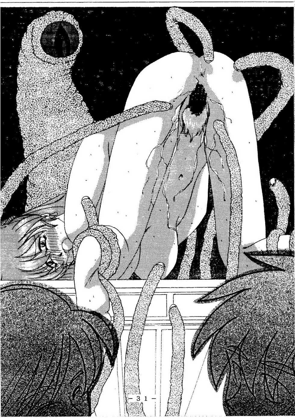 (C54) [White Elephant] Anice-sensei Kannou Shashinshuu (Sonic Soldier Borgman) - Page 31