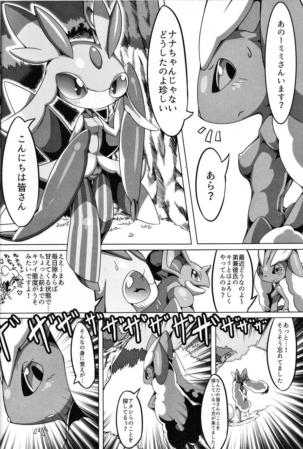 (C91) [Tamanokoshi (tamanosuke)] Nokorimono Niwa Fuku ga Aru !? (Pokémon) - Page 5