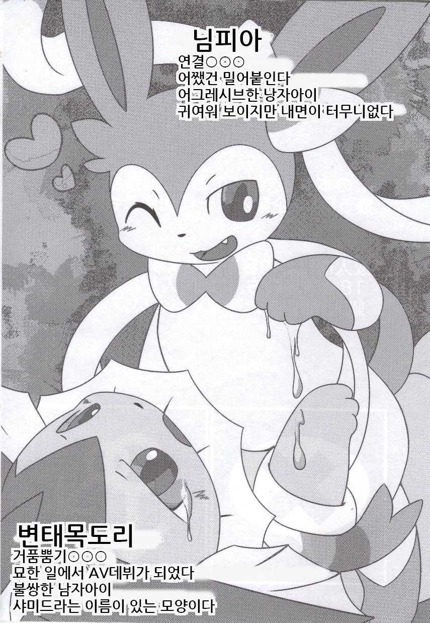 (C86) [TUMBLE WEED (Itameshi)] Fluttery Ribbon (Pokémon) [korean] - Page 3
