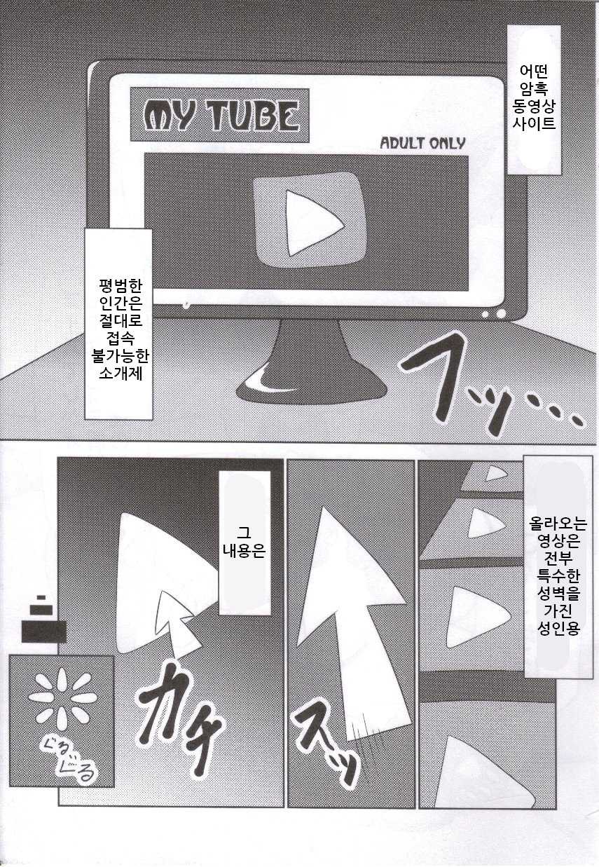 (C86) [TUMBLE WEED (Itameshi)] Fluttery Ribbon (Pokémon) [korean] - Page 4