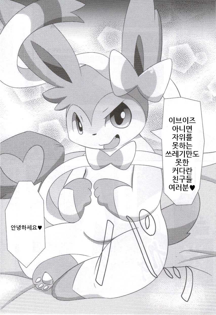 (C86) [TUMBLE WEED (Itameshi)] Fluttery Ribbon (Pokémon) [korean] - Page 5