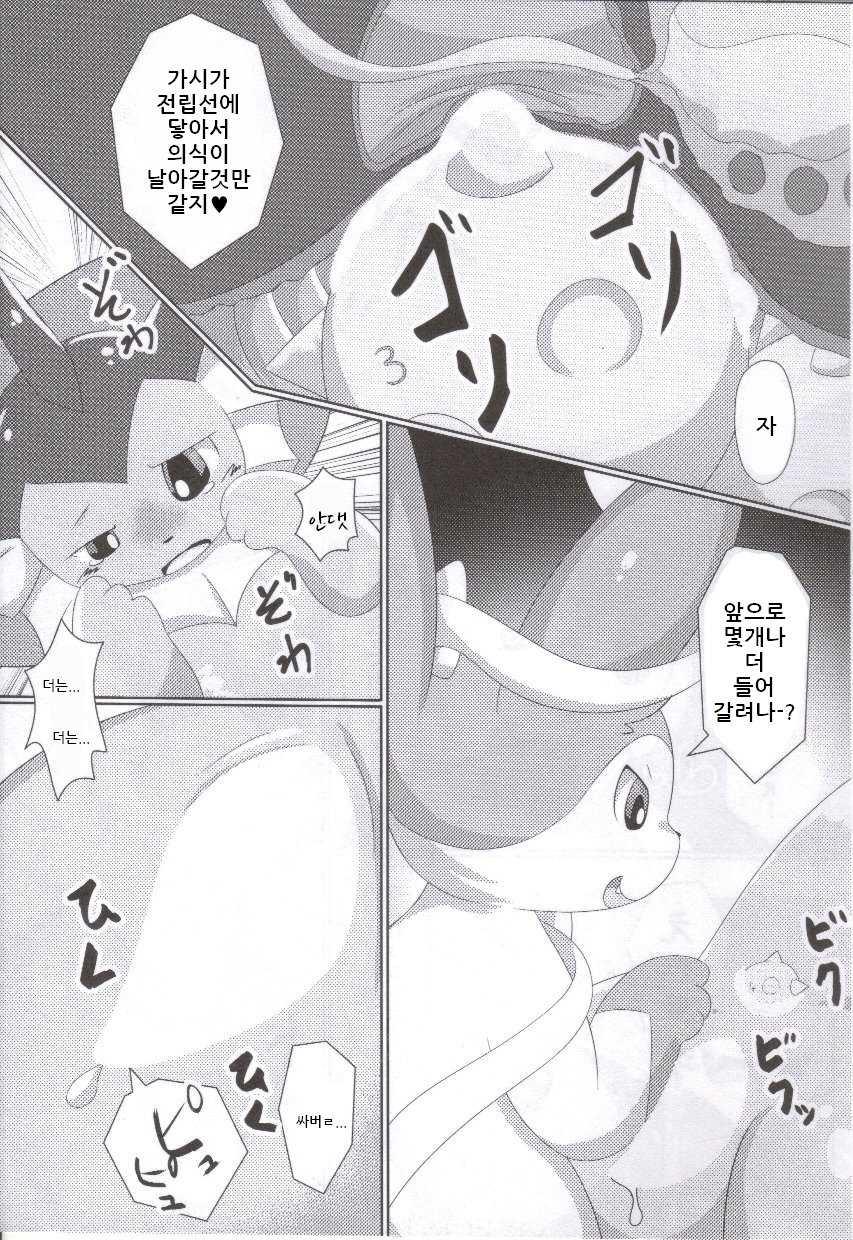 (C86) [TUMBLE WEED (Itameshi)] Fluttery Ribbon (Pokémon) [korean] - Page 12