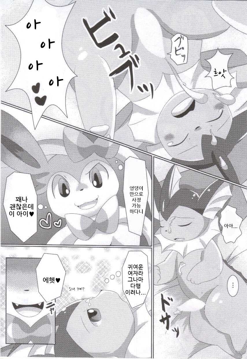 (C86) [TUMBLE WEED (Itameshi)] Fluttery Ribbon (Pokémon) [korean] - Page 13