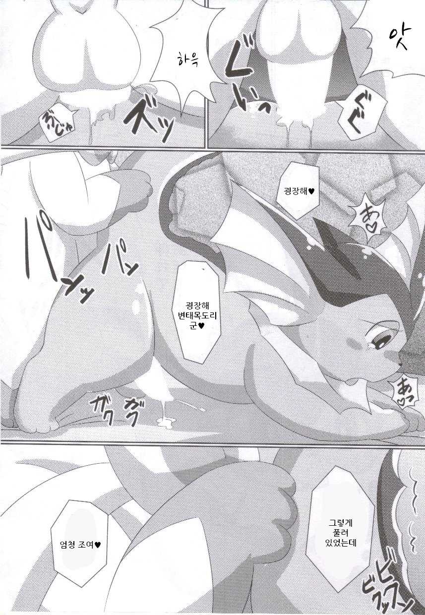 (C86) [TUMBLE WEED (Itameshi)] Fluttery Ribbon (Pokémon) [korean] - Page 17