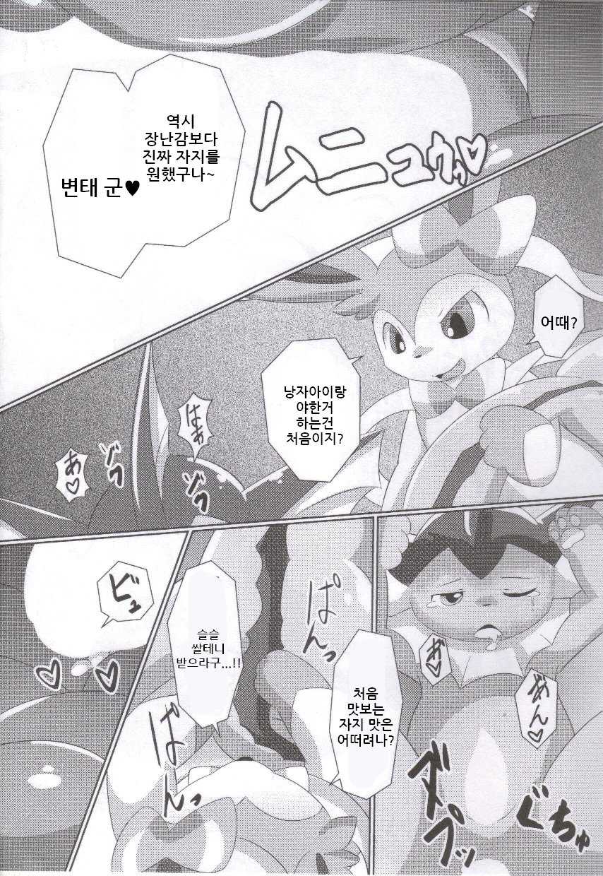 (C86) [TUMBLE WEED (Itameshi)] Fluttery Ribbon (Pokémon) [korean] - Page 18