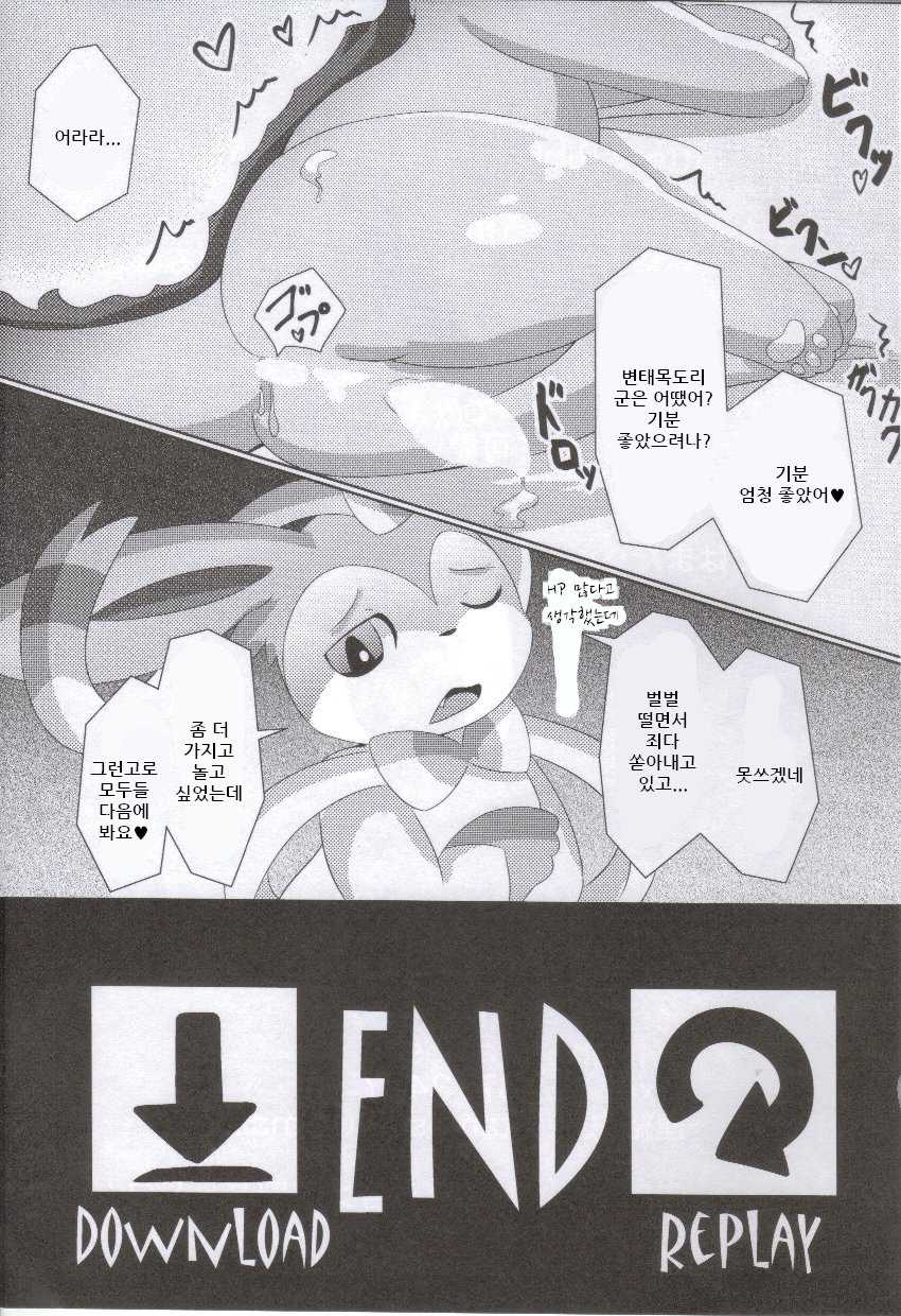 (C86) [TUMBLE WEED (Itameshi)] Fluttery Ribbon (Pokémon) [korean] - Page 20