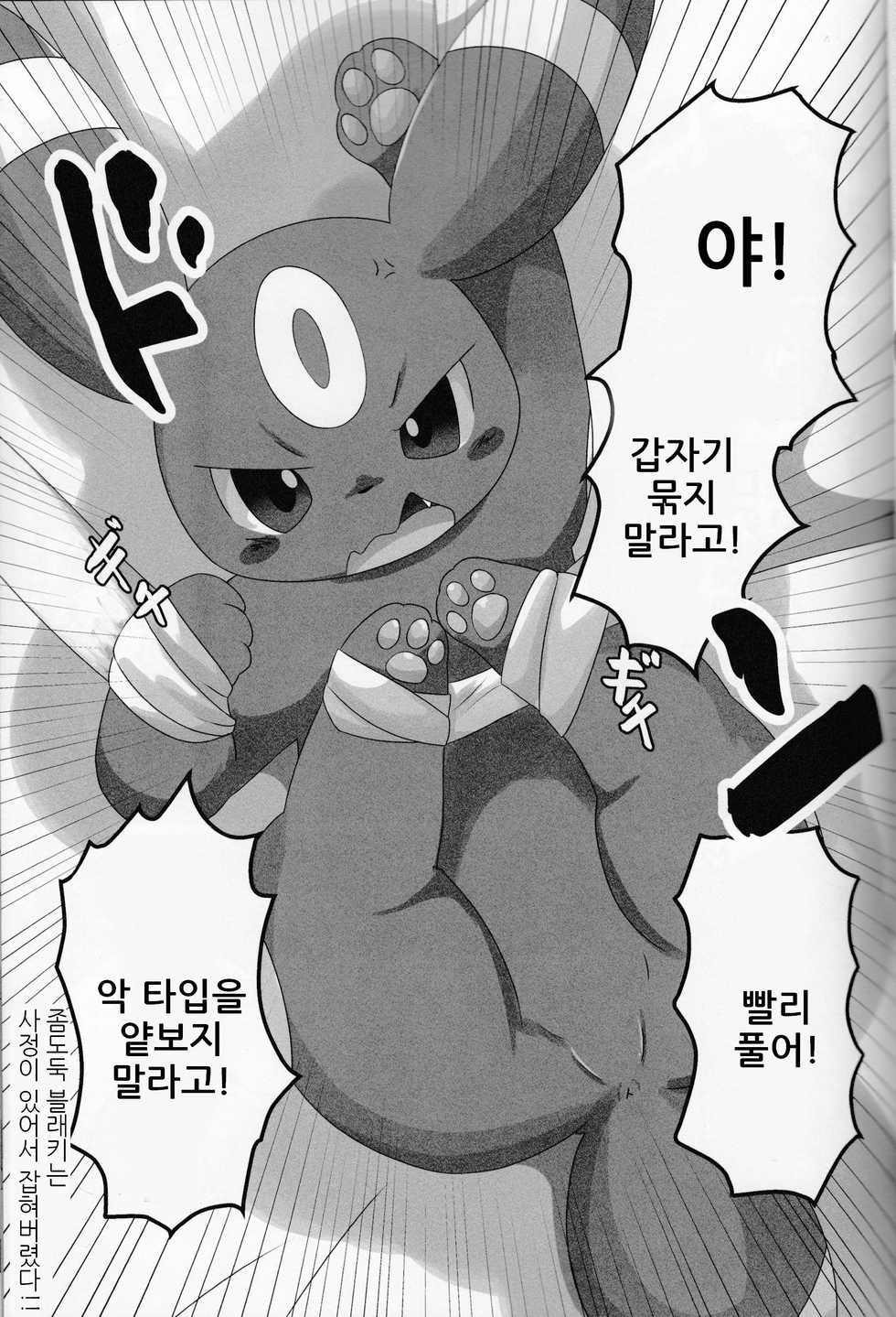 (Kemoket 5) [TUMBLE WEED (Itameshi)] Dorobou (Pokémon) [korean] - Page 4