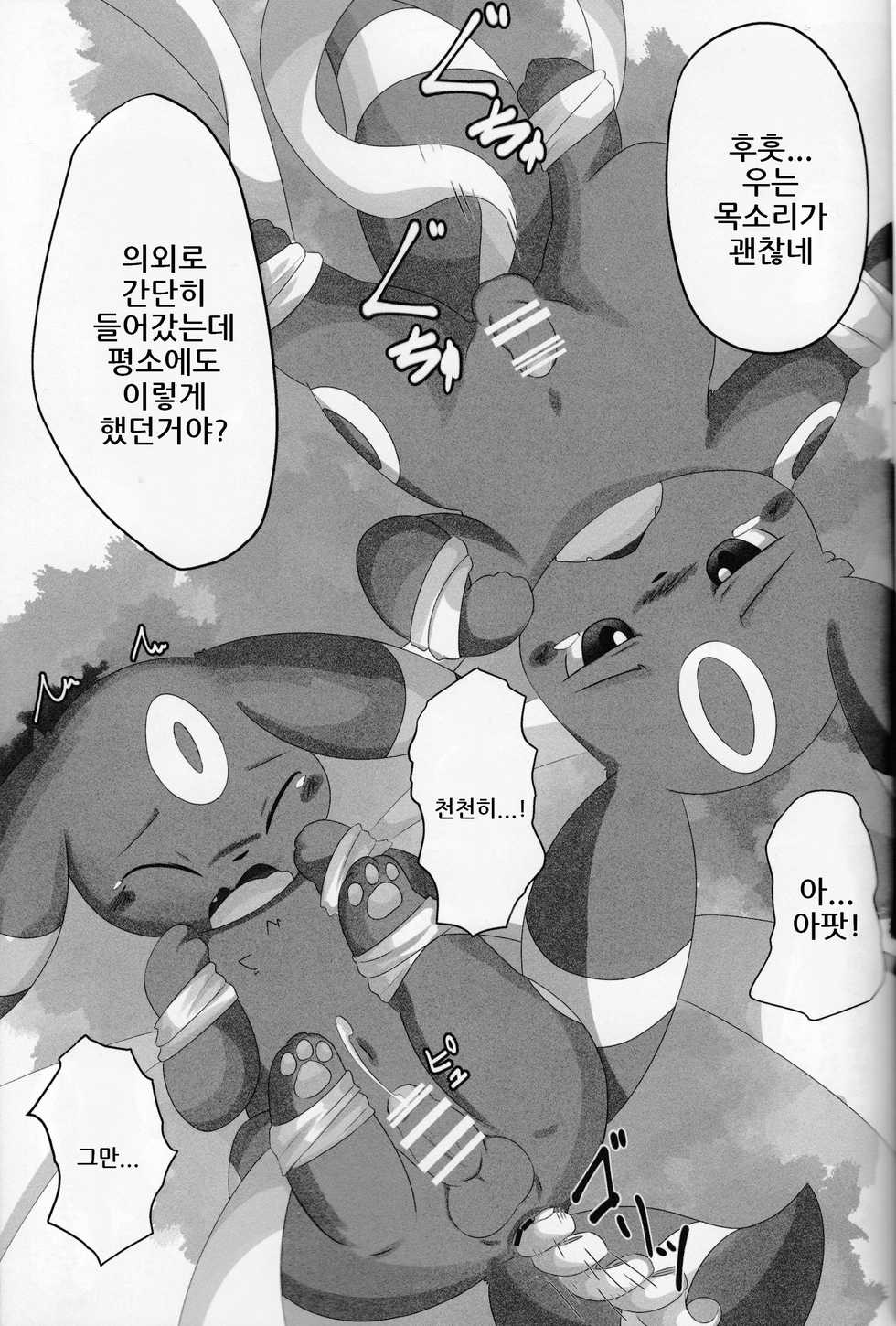 (Kemoket 5) [TUMBLE WEED (Itameshi)] Dorobou (Pokémon) [korean] - Page 12