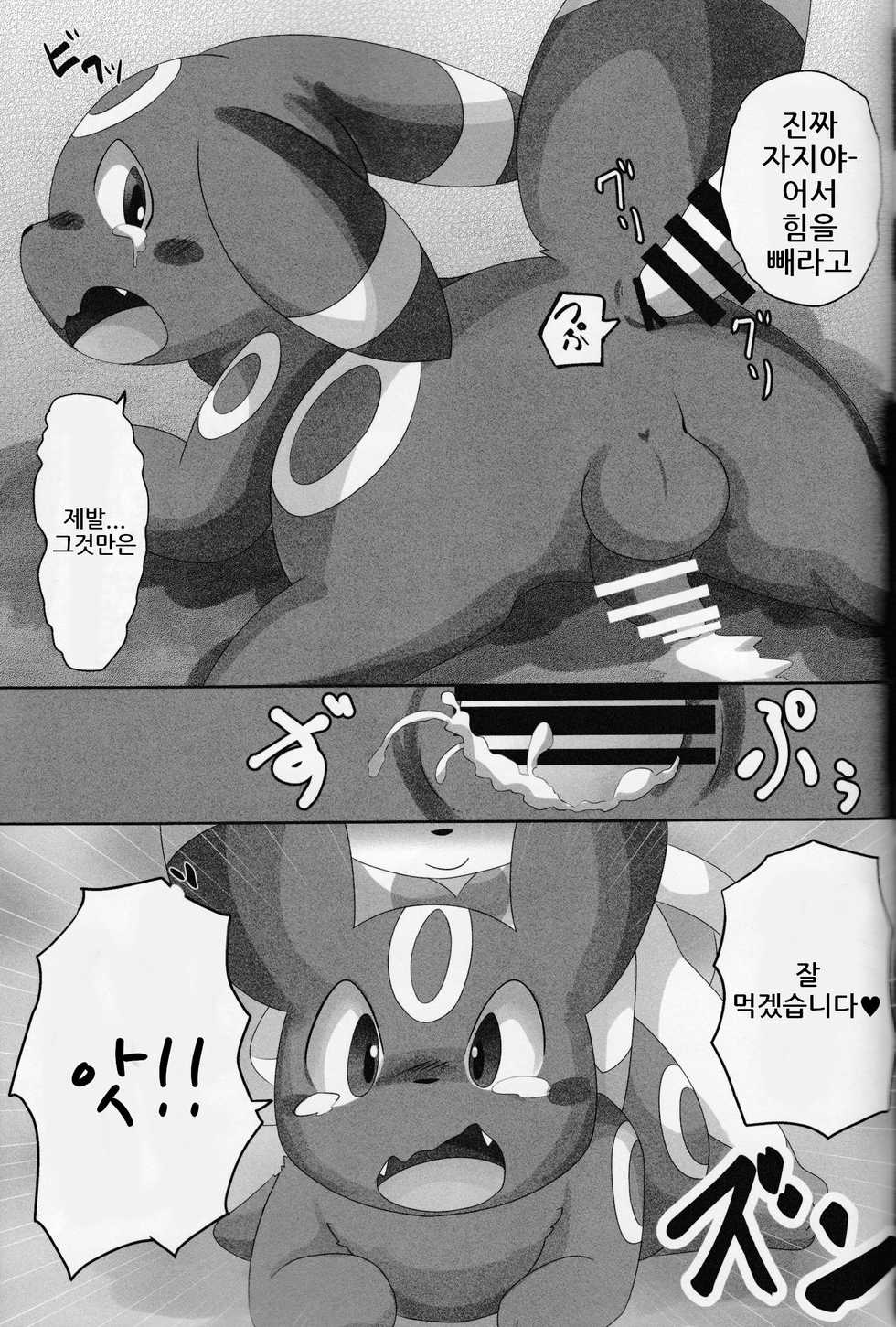 (Kemoket 5) [TUMBLE WEED (Itameshi)] Dorobou (Pokémon) [korean] - Page 14