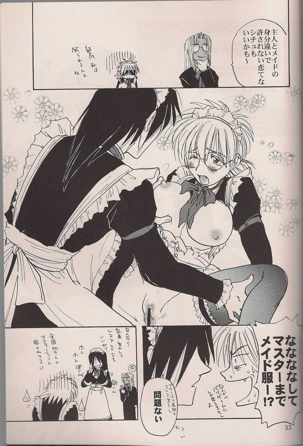 (C64) [Fusuma Goten (Shouji Haruko)] Enzai no Kiroku (Hellsing) - Page 31