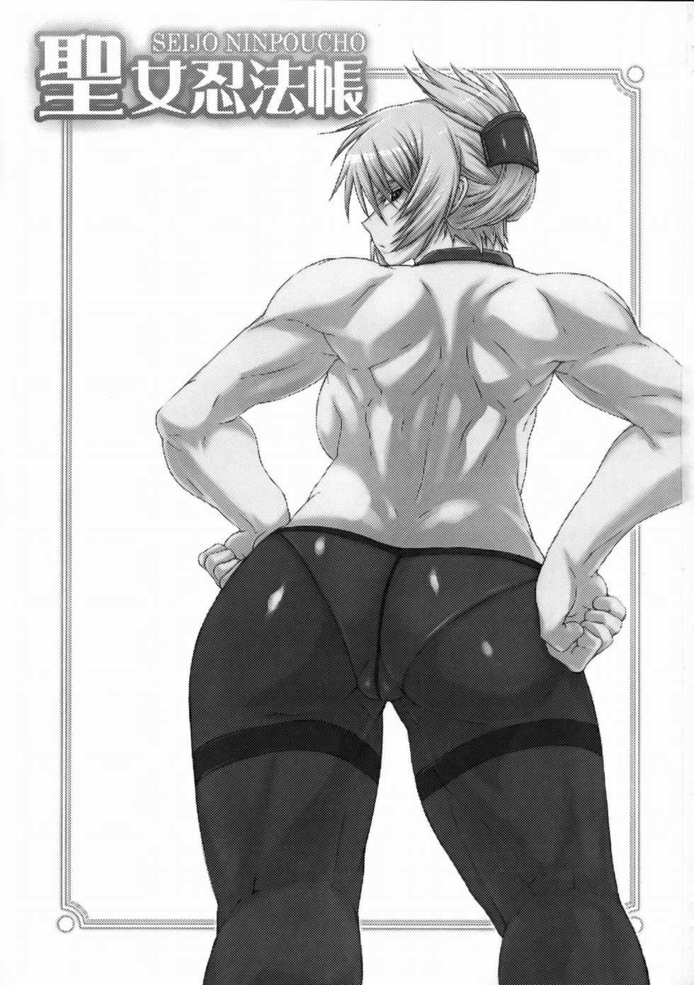 (COMIC1☆3) [SHD (Buchou Chinke, Hiromi)] Seijo Ninpouchou (Arcana Heart) - Page 2