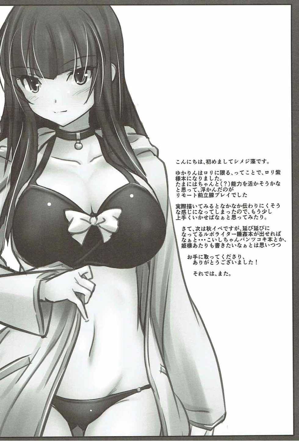 (C92) [Lagrangian-POINT (Akatuki Tetora)] Anata no Heya no Chiisana Yukari (Touhou Project) - Page 13