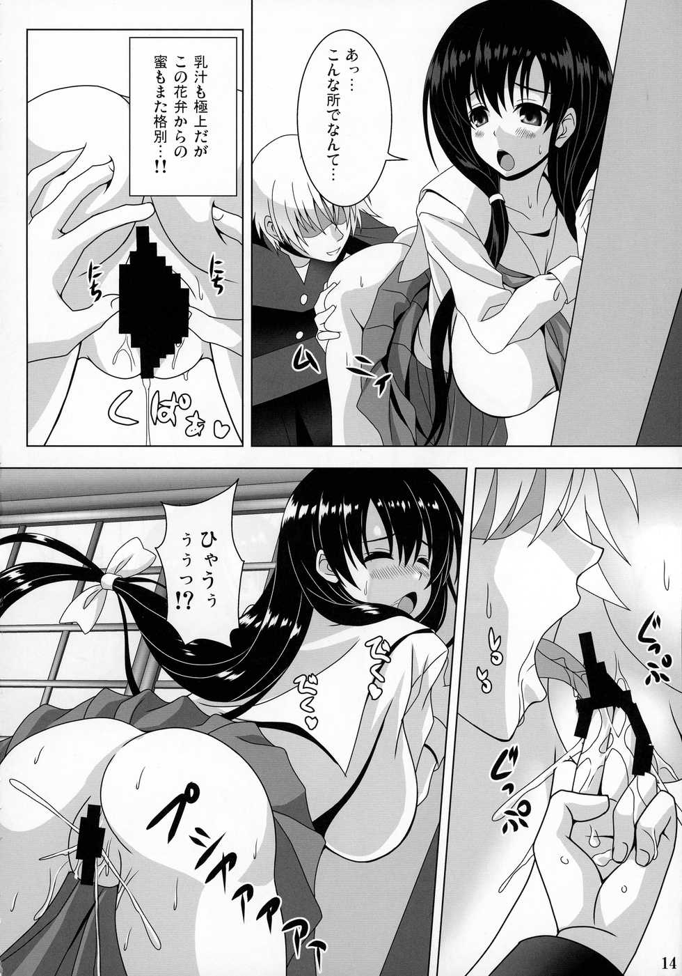 (C92) [Noritama-gozen (Noritama)] ETERNAL WATER 3 (Saki) - Page 13