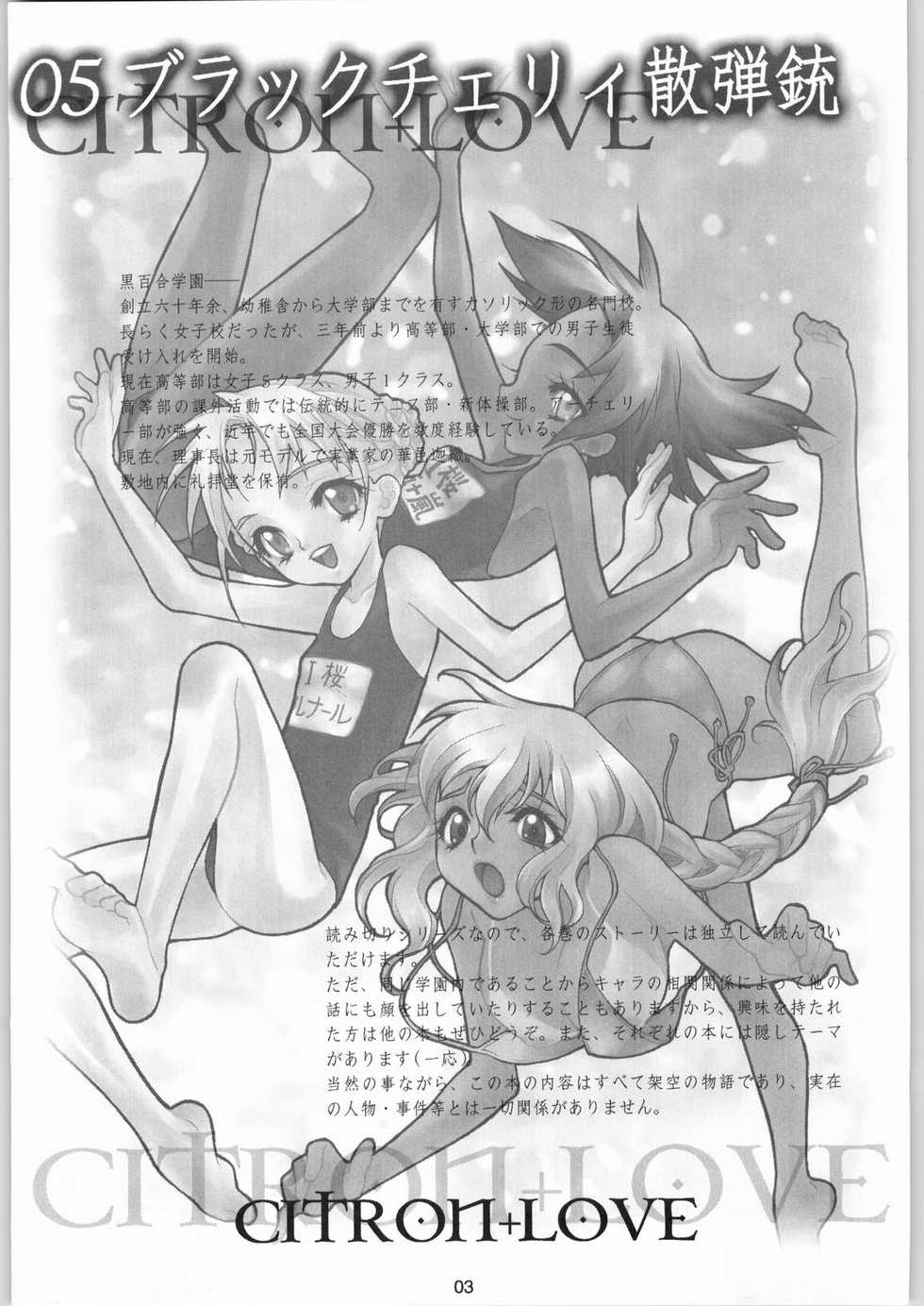 (C66) [CITRON LOVE (Asakura Hina)] Black Cherry Sandanjuu - Page 2