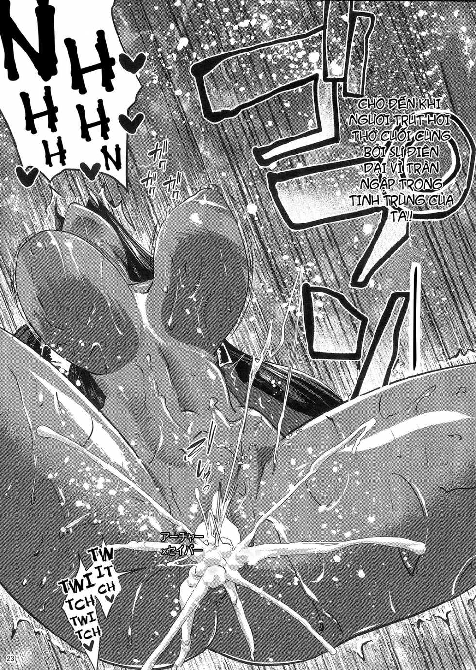 (C92) [Nanatsu no Kagiana (Nanakagi Satoshi)] Fuya no Nemonogatari (Fate/Grand Order) [Vietnamese Tiếng Việt] [Juju] - Page 23
