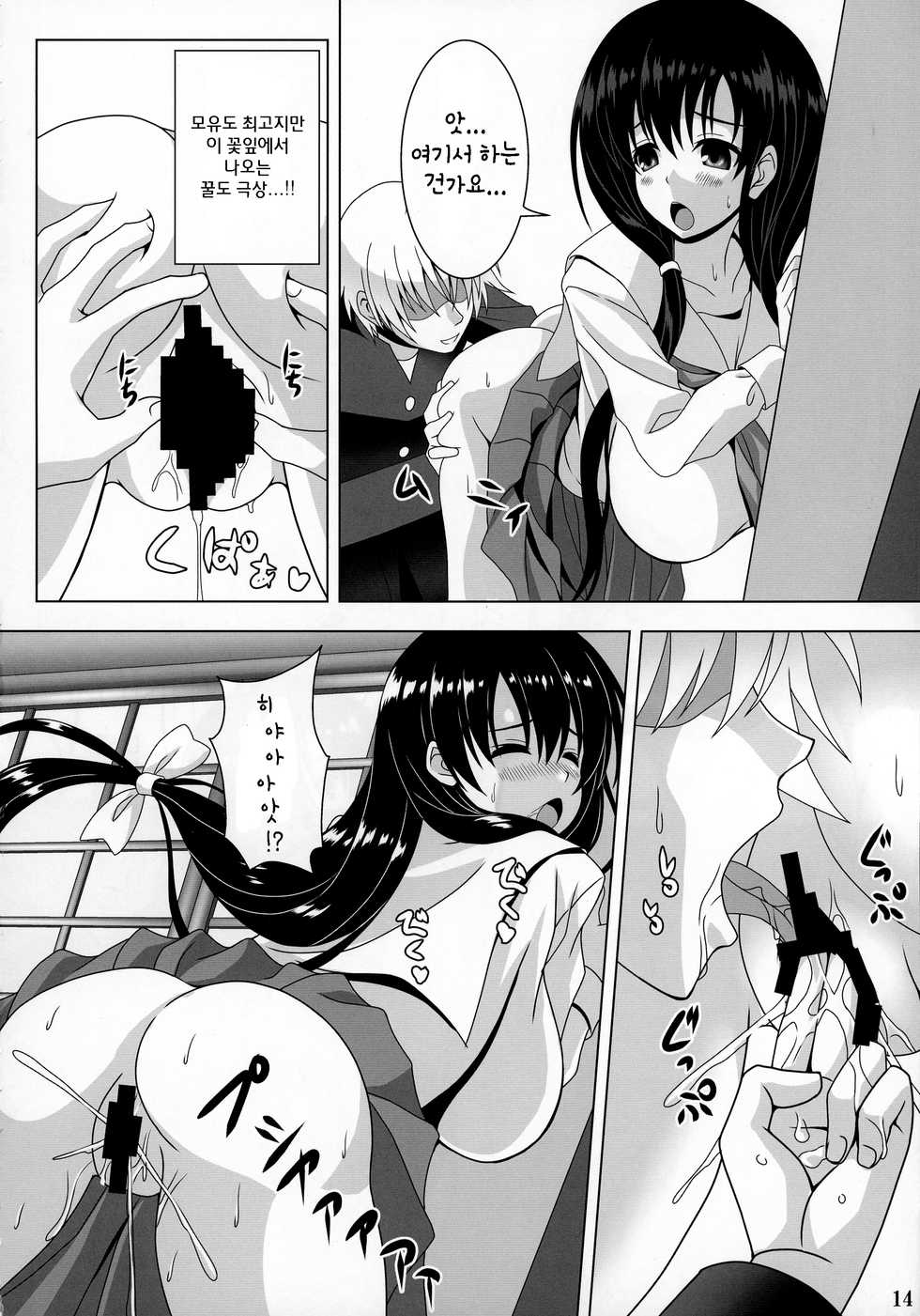 (C92) [Noritama-gozen (Noritama)] ETERNAL WATER 3 (Saki) [Korean] [팀☆데레마스] - Page 13