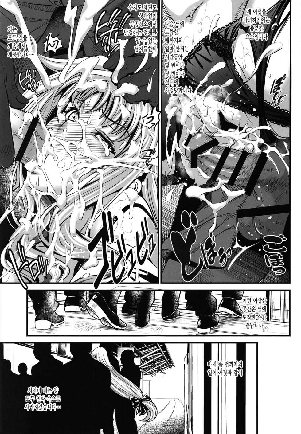 (C91) [Metabo Offensive Smell Uproar (Itachou)] F -Hontou no Watashi- (Mahou Shoujo Lyrical Nanoha) [Korean] - Page 13