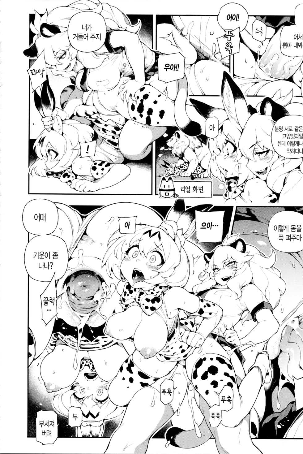 (FF30) [Bear Hand (Fishine, Ireading)] BEAST FRIENDS (Kemono Friends) [Korean] - Page 10