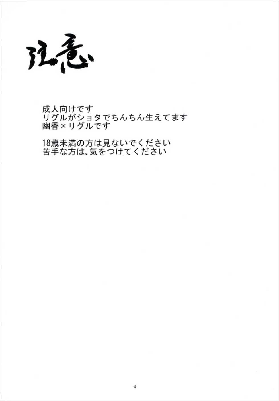 (C92) [Chicken Nugget Gyuuniku Aji (Sadahiro)] Fuckin' Hot summer (Touhou Project) - Page 4