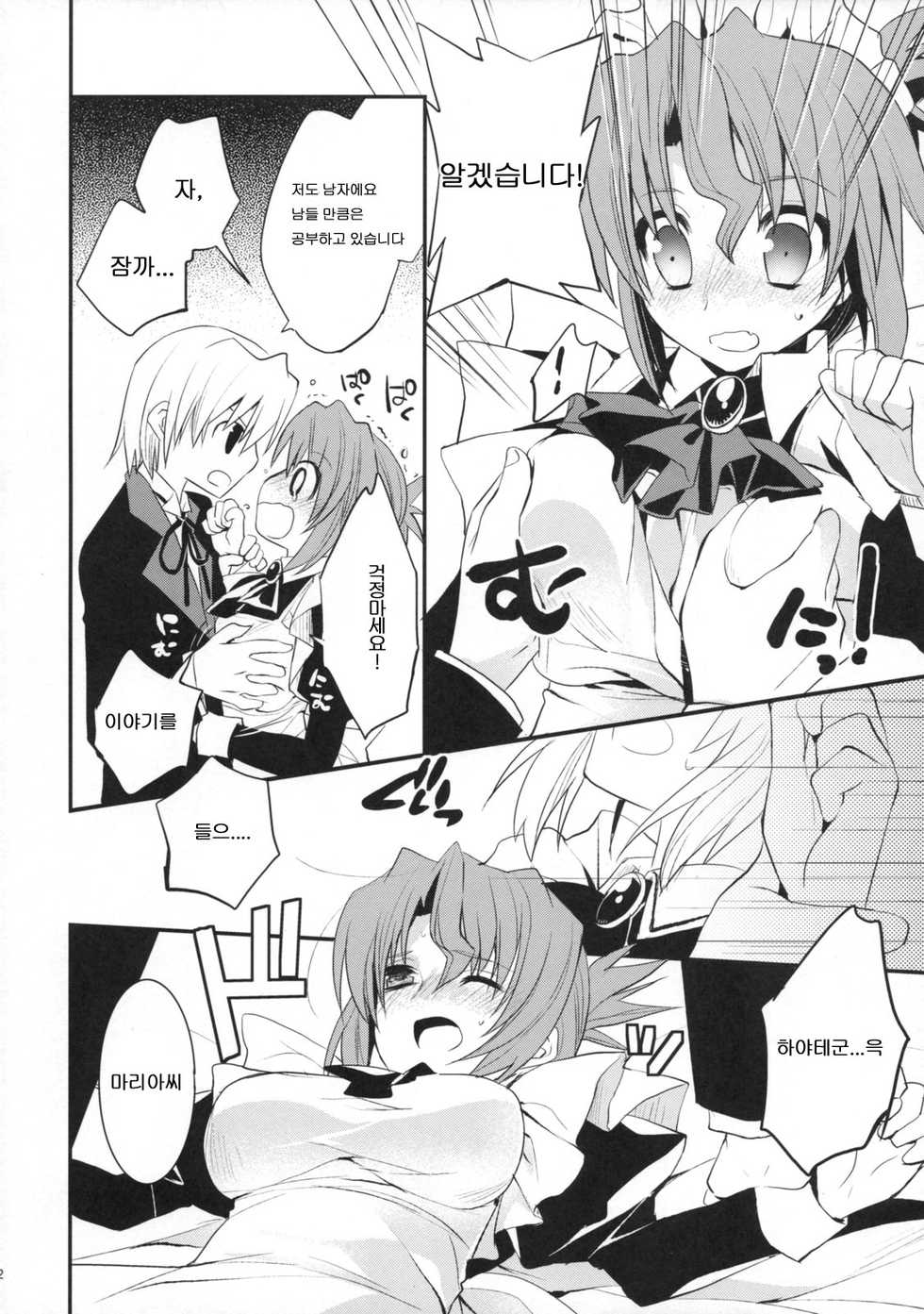 (C76) [ARESTICA, D.N.A.Lab. (Ariko Youichi, Miyasu Risa)] BLOOMING FLOWER (Hayate no Gotoku!) [Korean] - Page 11