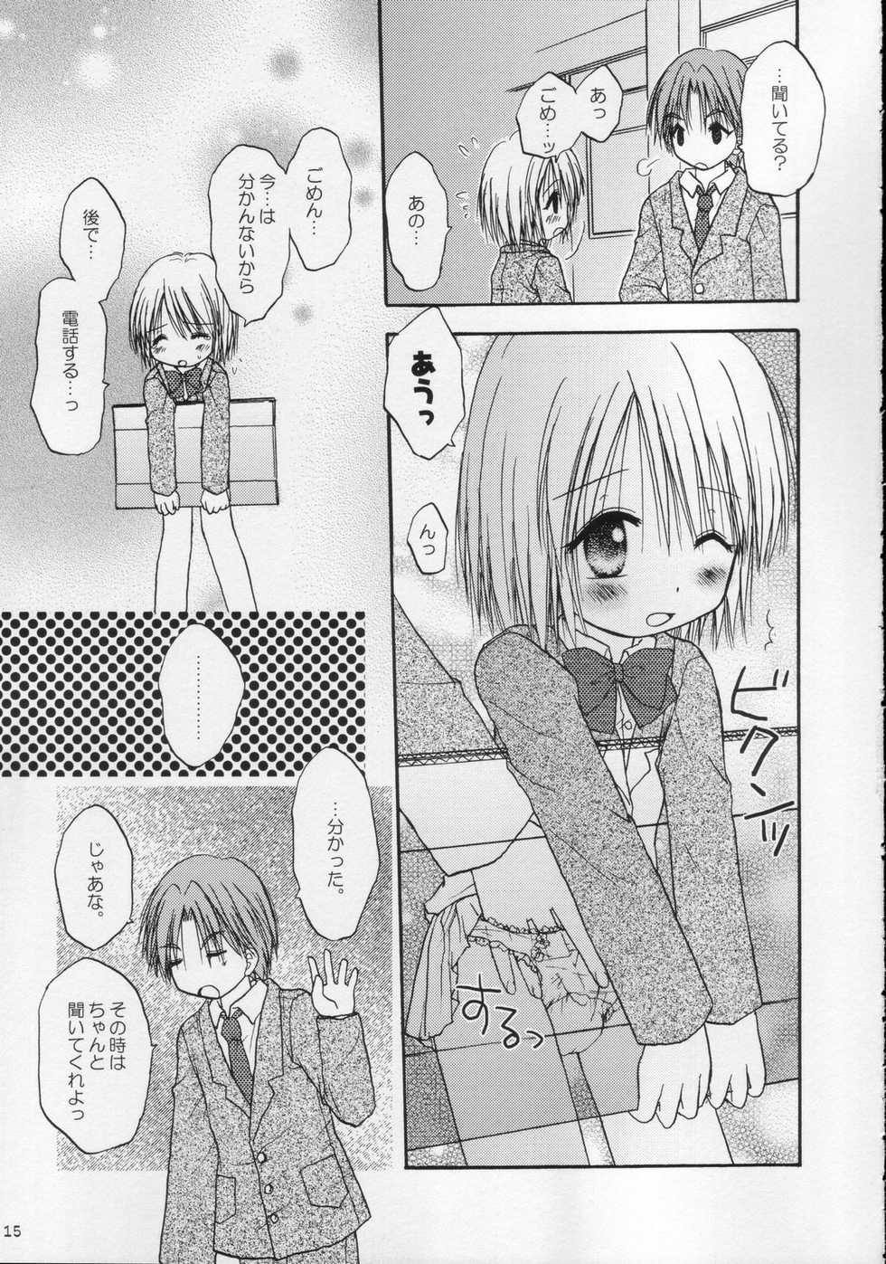 (C68) [Penguin San (Shinosaki Ariko)] CAPTIVE 2+ - Page 15