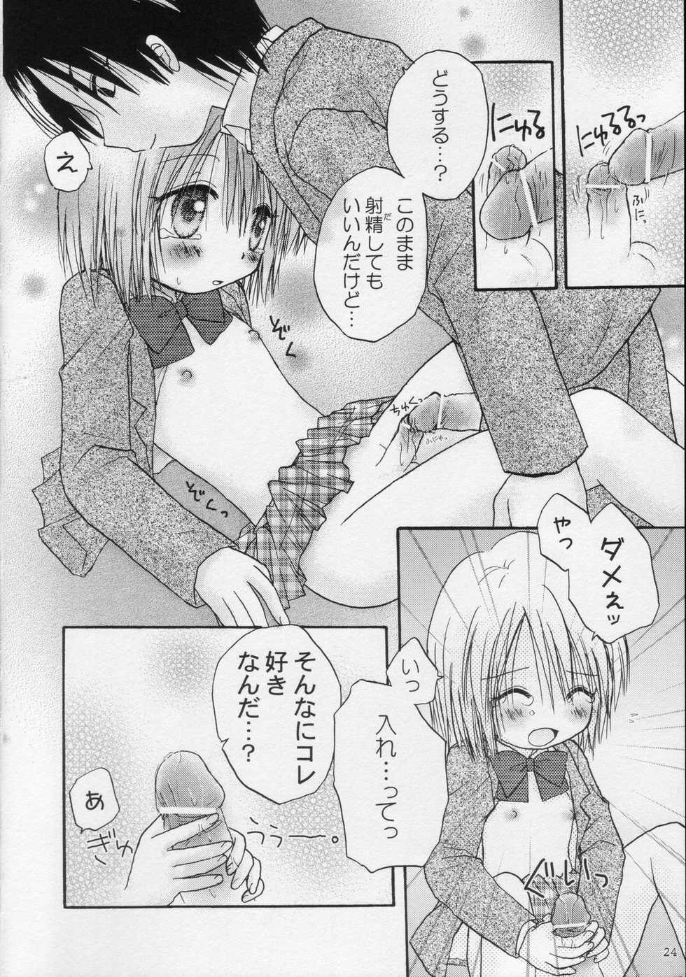 (C68) [Penguin San (Shinosaki Ariko)] CAPTIVE 2+ - Page 24