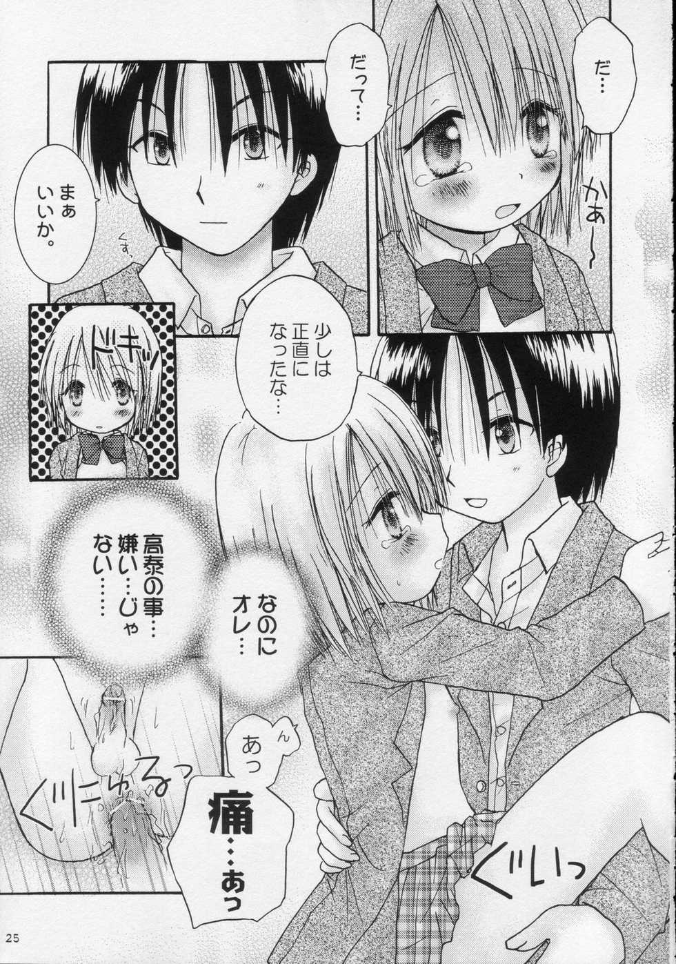 (C68) [Penguin San (Shinosaki Ariko)] CAPTIVE 2+ - Page 25
