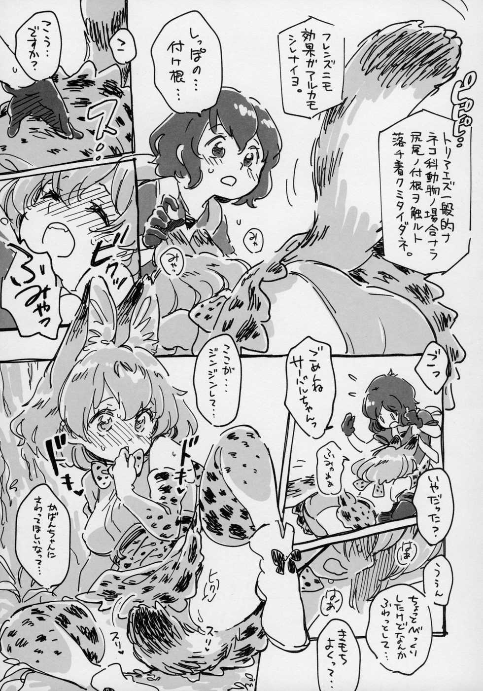 (Japariket 3) [Sarasara Chazuke (Various)] Yuri Ecchihou (Kemono Friends) - Page 18