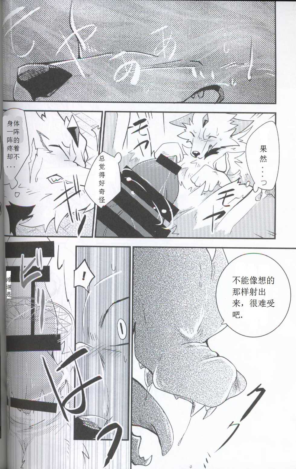 (Kansai! Kemoket 5) [Kemono no Koshikake (Azuma Minatu)] Yami ni Ochiru Hikari (Tales of Asteria) [Chinese] [虾皮汉化组] - Page 22
