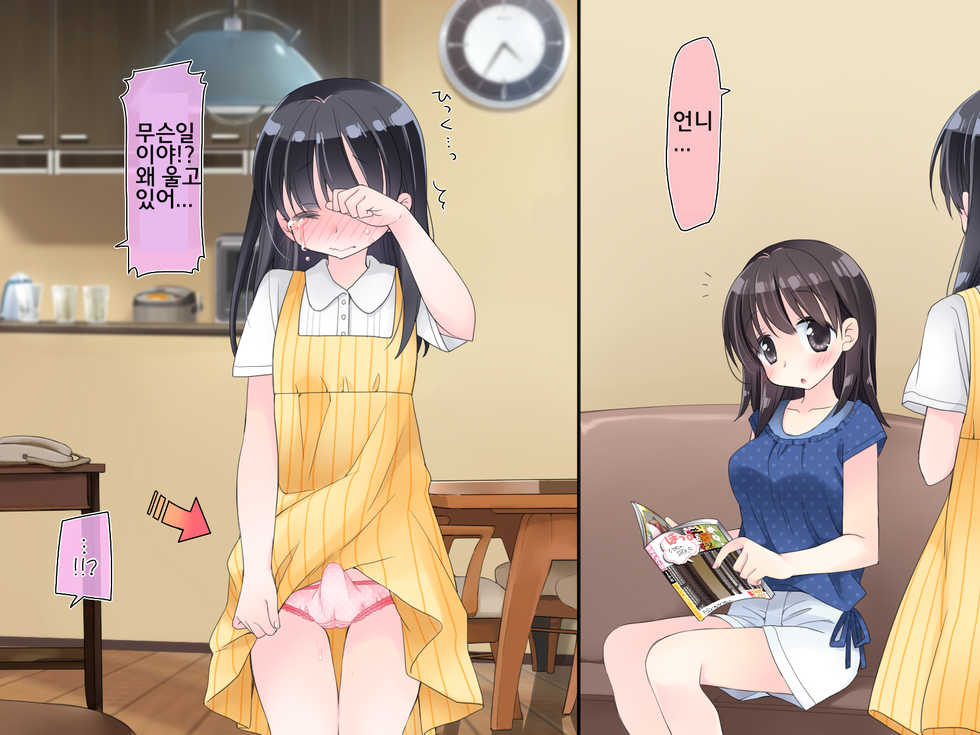 [Sorairo Nyannyan (Katase Aoko)] Futanari Imouto to Yasashii Onee-chan no 12-kagetsu | 후타나리 여동생과 상냥한 언니의 12-개월 [Korean] - Page 3