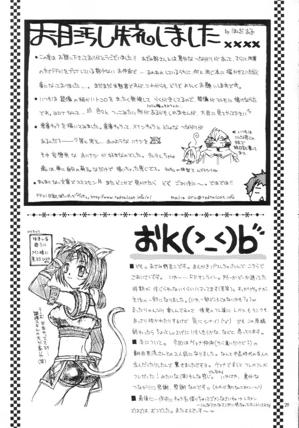 (C64) [Keiji in Cage (Honda Aru, Azamino Keiji)] Tote Tote ++ (Final Fantasy XI) - Page 28