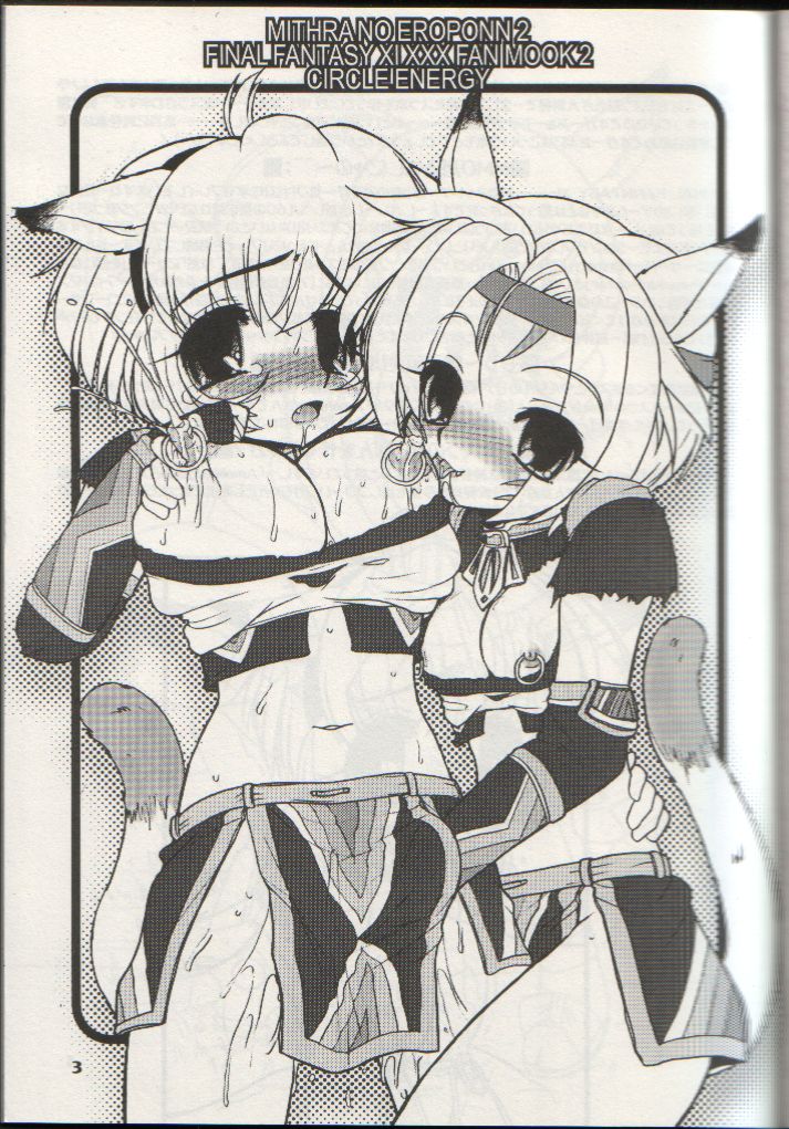 (SC23) [Circle ENERGY (Imaki Hitotose)] Mithra no Eropon 2 (Final Fantasy XI) - Page 2