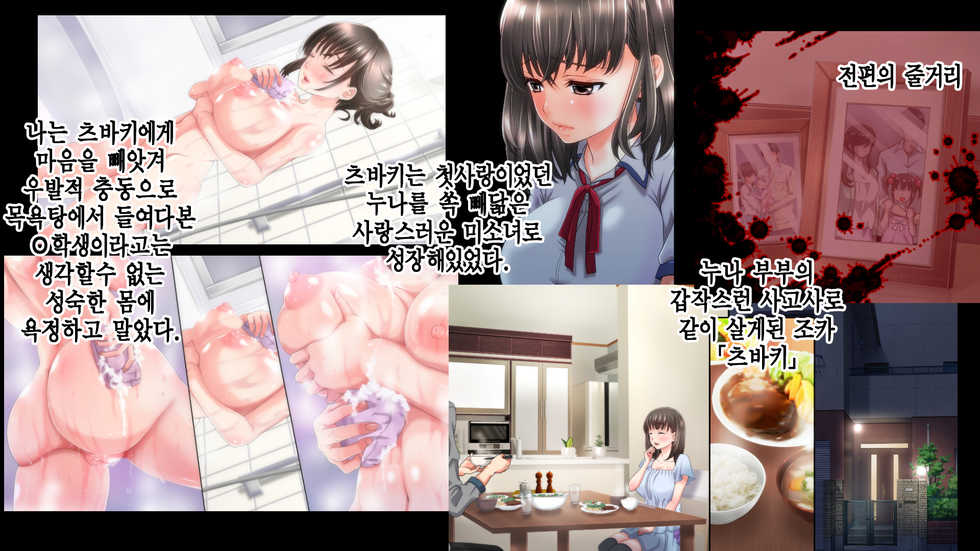 [Moriya] Ane no Wasuregatami no Mei o Ore wa Okashita ~Kouhen~ | 누나가 죽고 남긴 조카를 나는 범 했다 후편 [Korean] [시뮬라시옹] - Page 2