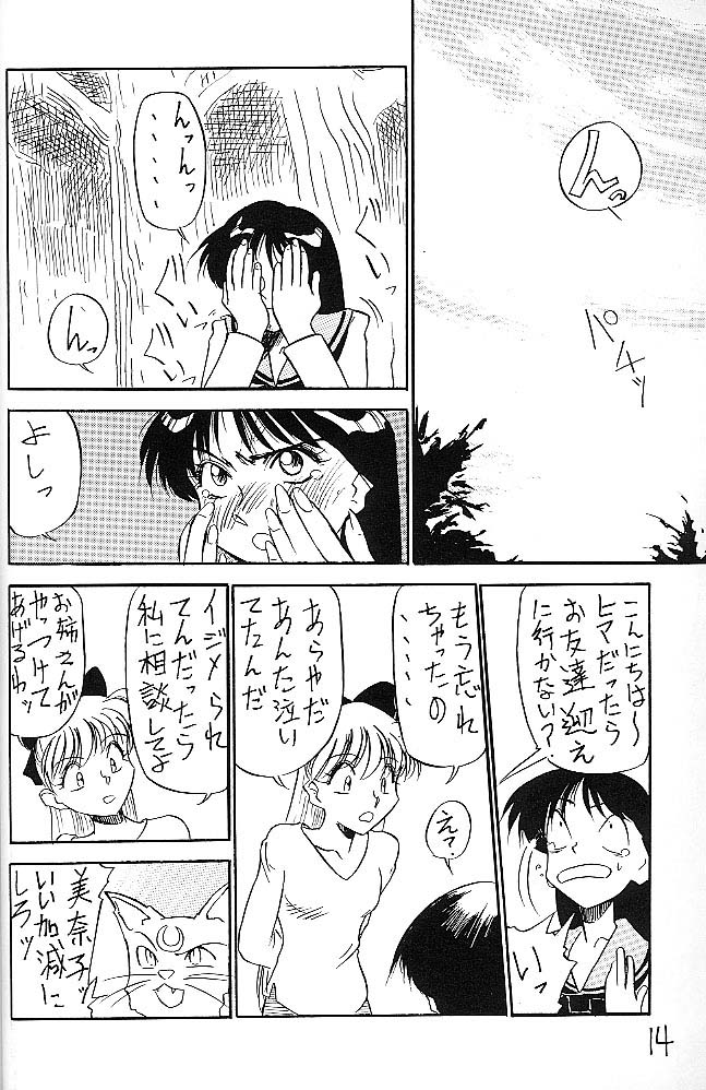(C44) [V. Hercules (Ookame Toutarou, Sazanami Kazuto)] Mejiro (Bishoujo Senshi Sailor Moon, Genji Tsuushin Agedama) - Page 13