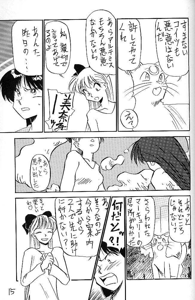 (C44) [V. Hercules (Ookame Toutarou, Sazanami Kazuto)] Mejiro (Bishoujo Senshi Sailor Moon, Genji Tsuushin Agedama) - Page 14