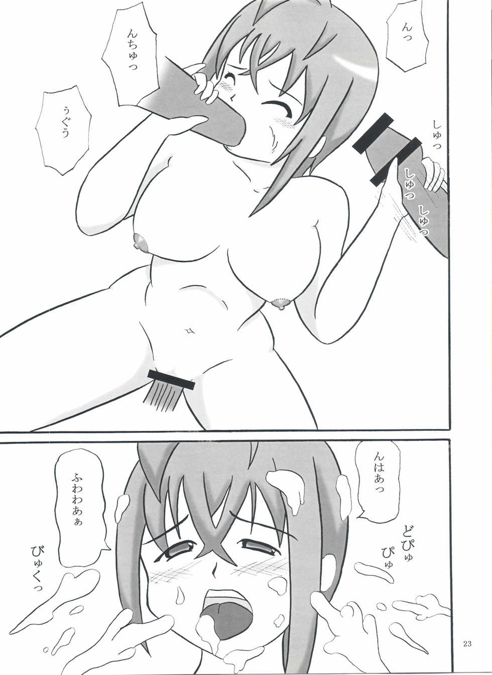 (COMIC1☆3) [Katamari-ya (Shinama, Kanetsuki Masayoshi)] S.EX-QT (Sora wo Kakeru Shoujo) - Page 23