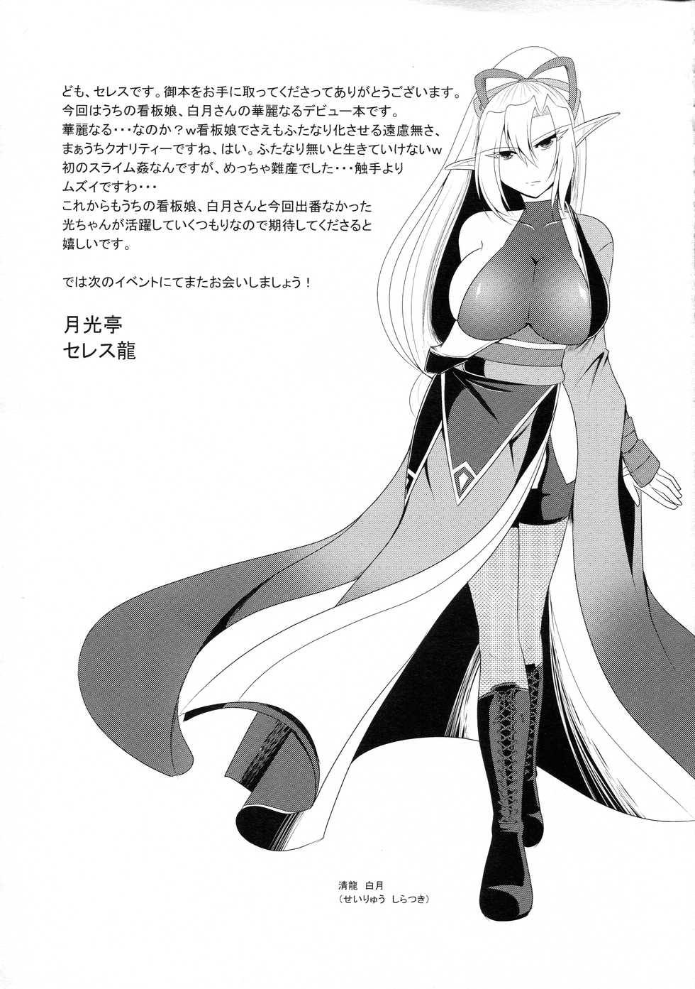 (C92) [Gekkou Tei (Seres Ryu)] Senshoku - Page 25