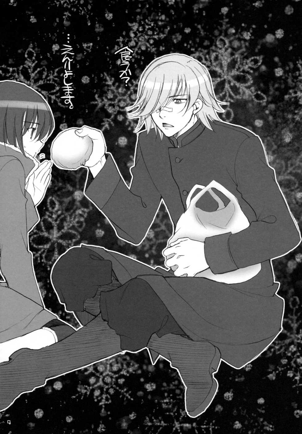 (C77) [NIKKA (Mario Kaneda)] Ryuusei LOVERS 2 (DARKER THAN BLACK) - Page 3