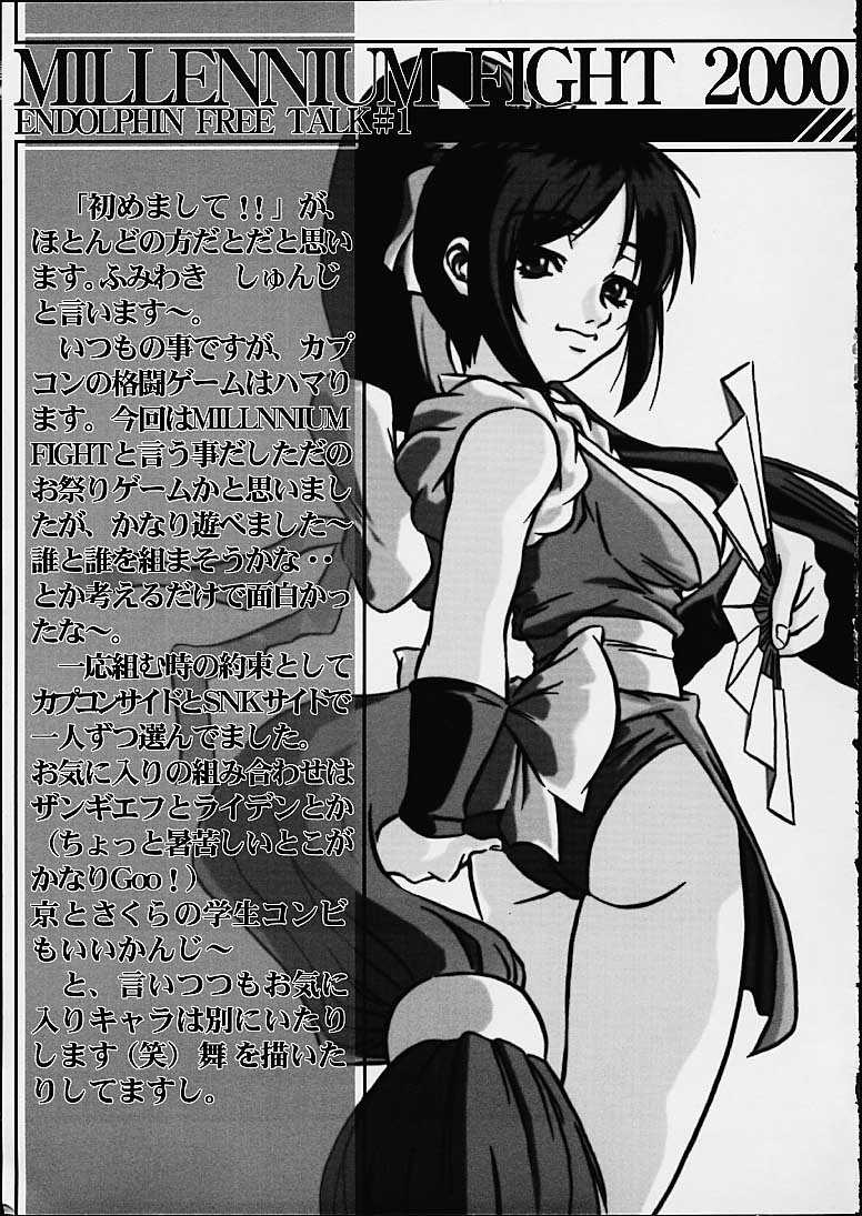 (CR29) [EN-DOLPHIN (Fumiwaki Shunji)] ARIES (King of Fighters, Street Fighter) - Page 19